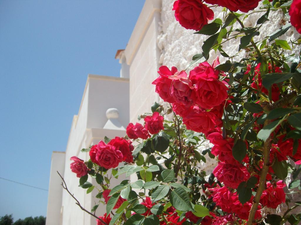 Masseria Nuova Франкавила Фонтана Екстериор снимка