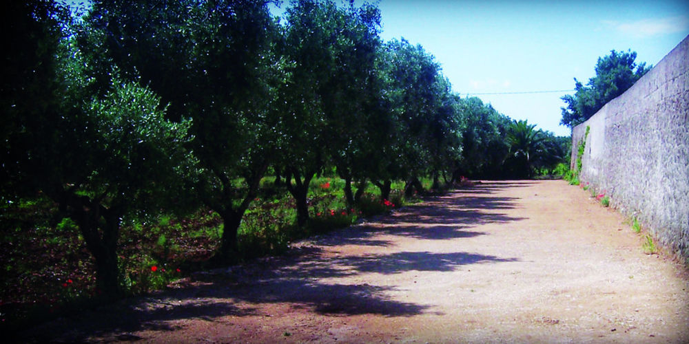 Masseria Nuova Франкавила Фонтана Екстериор снимка